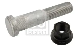 sruba-kola-fe35176