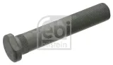 sruba-kola-fe45384