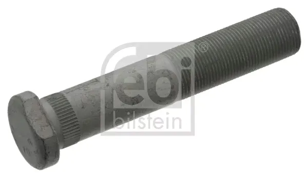 sruba-kola-fe45384