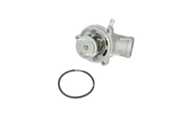 termostat-srodka-chlodzacego-nrf-725290