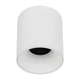 lampa-sufitowa-punktowa-spot-blaze-white-cct-12w