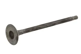zawor-wydechowy-6863-rnt