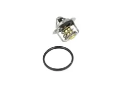 termostat-srodka-chlodzacego-725211-nrf