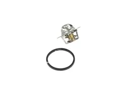 termostat-srodka-chlodzacego-725183-nrf