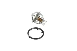 termostat-srodka-chlodzacego-725142-nrf