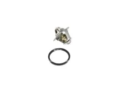 termostat-srodka-chlodzacego-725125-nrf