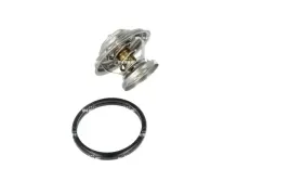 termostat-srodka-chlodzacego-725074-nrf