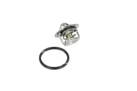 termostat-srodka-chlodzacego-725084-nrf