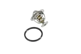 termostat-srodka-chlodzacego-725088-nrf