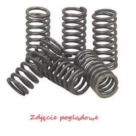 sprezyny-sprzeglowe-moto-triumph-tiger-900cc-93-96-sprint-93-csk068