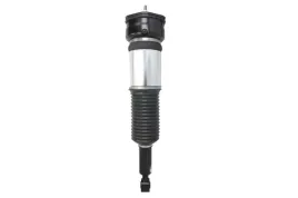 amortyzator-pneumatyczny-as-3074-arn
