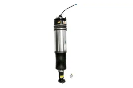 amortyzator-pneumatyczny-as-2978-arn