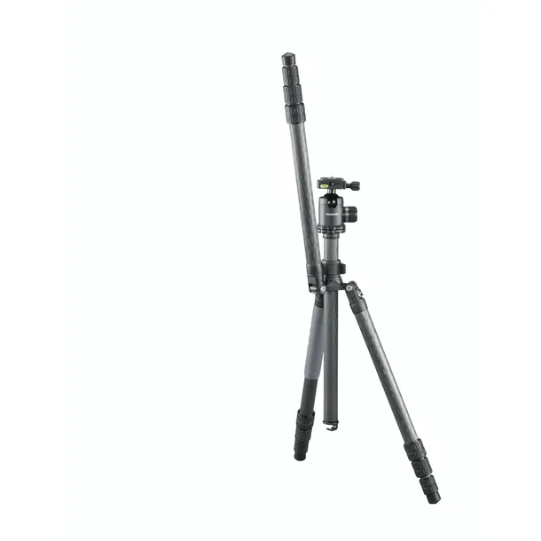 cullmann-carvao-828mc