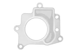 uszczelnienie-zaworu-egr-55573360