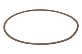 zestaw-naprawczy-mechanizmu-roznicowego-0501335455zf