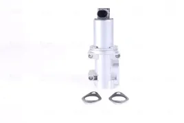 zawor-egr-98306-nis