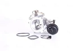 zawor-egr-98298-nis