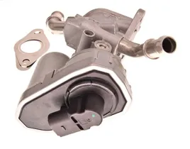 zawor-egr-98165-nis