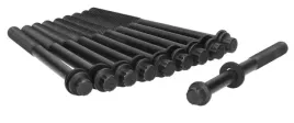 zestaw-srub-glowicy-cylindrow-81032000-ajusa