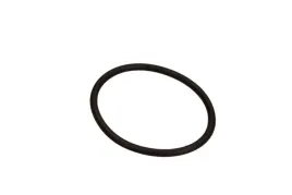pierzcien-gumowy-f00r0p0166-bos
