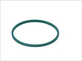 uszczelnienie-podstawy-swiatel-przednich-f00n200053-bos