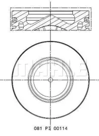 tlok-081-pi-00114-002
