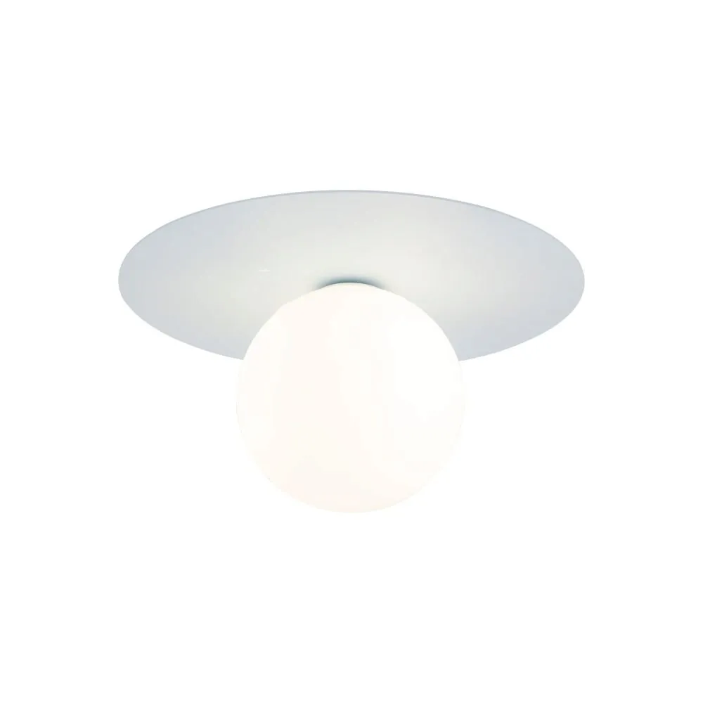 pixi-blue-kinkiet-1