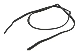 uszczelka-szyby-przod-do-kia-rio-ii-03-05-12-11-h119zt