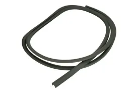 uszczelka-szyby-przod-do-daf-lf-45-lf-55-rvi-midlum-01-00-
