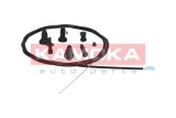 linka-gazu-116015-kao-stan-nowy