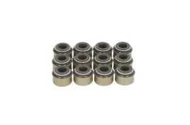 zestaw-uszczelniaczy-trzonka-zaworow-aju57037500