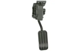 pedal-gazu-v10-82-0002