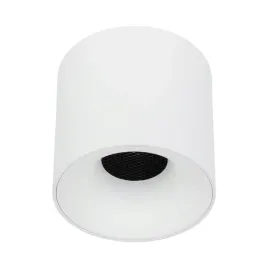 lampa-sufitowa-punktowa-spot-blaze-white-cct-30w