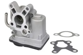 zawor-egr-48659-nrf