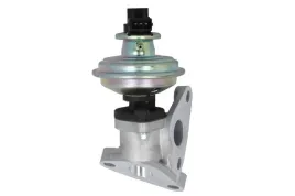 zawor-egr-48650-nrf