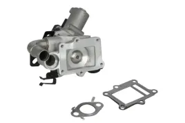 zawor-egr-48649-nrf
