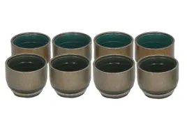 zestaw-uszczelniaczy-trzonka-zaworow-aju57031800