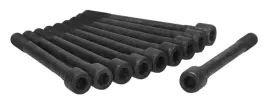 zestaw-srub-glowicy-cylindrow-81029900-ajusa