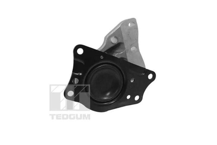 poduszka-silnika-00729417-ted-producent-czesci-tedgum
