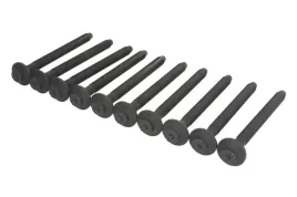 zestaw-srub-glowicy-cylindrow-481-900-elr