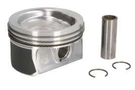 tlok-0307102-mah-mahle-original