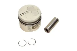 tlok-0298212-mah-mahle-original