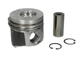 tlok-0220902-mah-mahle-original