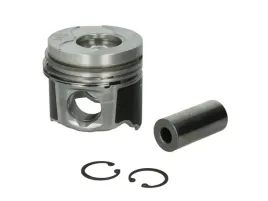 tlok-0220900-mah-mahle-original