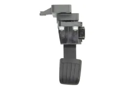 pedal-gazu-5-46027