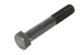 sruba-resora-3-65124