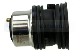 termostat-z-obudowa-tm10092-mah