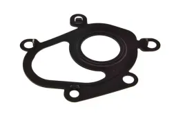 uszczelka-turbo-412-561-fis