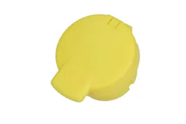 korek-zbiorniczka-plynu-spryskiwacza-289130999r-oe