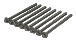 zestaw-srub-glowicy-cylindrow-258-920-elr